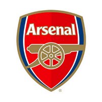 Arsenal DLT(@AFC_Disability) 's Twitter Profile Photo