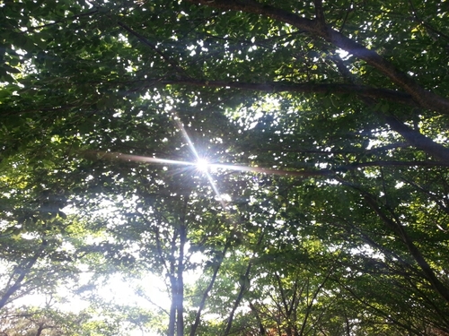 dearpoet's profile picture. Poem Twitter