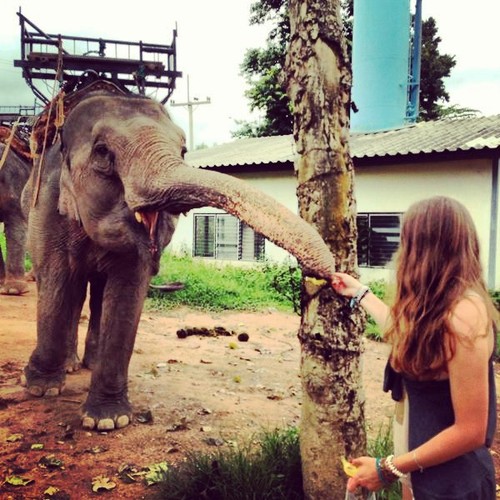 ~ instagram: florentina28 ~
