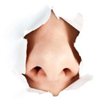 Студент  - Каскадёр #предпочитаю ... Разгадывание кроссвордов # Ручки ... Склеивание домиков из спичек ;