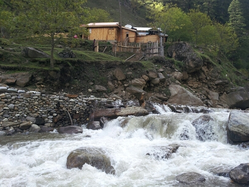 jugnondove's profile picture. 