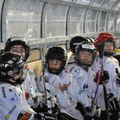 Der EHC Thun bietet allen Interessierten die Möglichkeit dem Eishockeysport nachzugehen. Interessiert? Meldet euch!