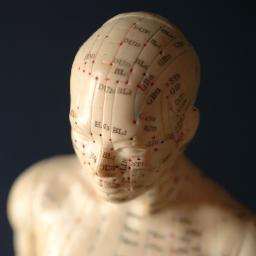 Stepping Stone Acupuncture & Wellness LLC in Wellesley, MA.