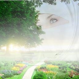 nr_hilda's profile picture. 🟥 會所實體店營業執照齊全 🟨✈️  電報：https://t.co/YvXnyIMMZu 搜索推🍛特大号 @mbb668 或者直接点蓝🐡色字体查🍭看详细幸福资料 🟩 不滿意不消費可掉頭就走 🟦，㊙️ 保護個人隱私安全私密圈服務 ㊙️，💯 所有消費都可開發票 🉑 靠 ‼️🈺 獨家特色 💢 技師全程聽你安排不反抗