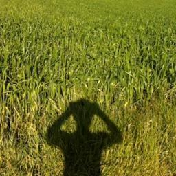 Martafso1980's profile picture. Estas son las noticias que me gustaría ver en @MiPais - @ MiMundo. Que le voy a hacer, tengo gustos dispares y a veces soy politicamente incorrecta...