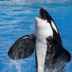 Our hotel is just one mile from SeaWorld and the San Diego Sports Arena #SD #Family