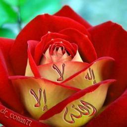 navdeepkumar789's profile picture. 