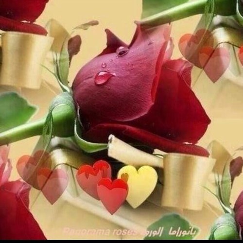صـــلاتـــي هـي سـر سـعـادتـي❤