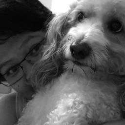 YetiRouz's profile picture. 