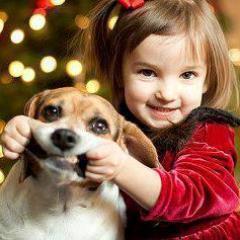 amo os animais!