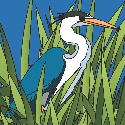 Heron Bay Books is an independent book publisher. Now accepting queries from new or experienced authors for: children’s books, fiction, & memoir.