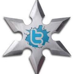 Hi Im Michael- Im currently writing a ebook entitled , Twitter-Ninja /  How to Own twitter-  i follow back