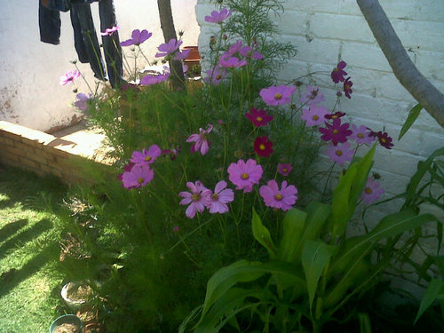 cynthisosha's profile picture. Cryptocurrencies are the future