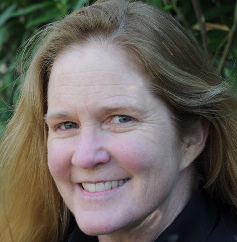 environmental science and policy; sustainability; climate and energy; Yale; Princeton; Berkeley; my tweets are my own; rt are not my endorsements;