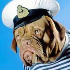 CapnFancyPants's profile picture. OK so I drink too much, you got me, nice work Scooby. Now, go change your shirt you clown.