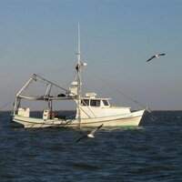 Clint Guidry (@clintguidry) 's Twitter Profile