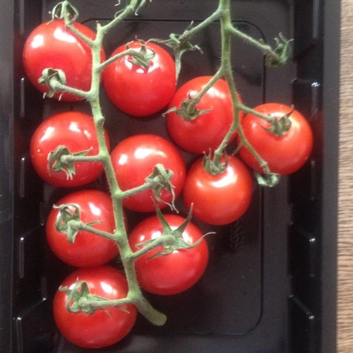 dy310's profile picture. 