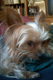 LIndrieri's profile picture. 