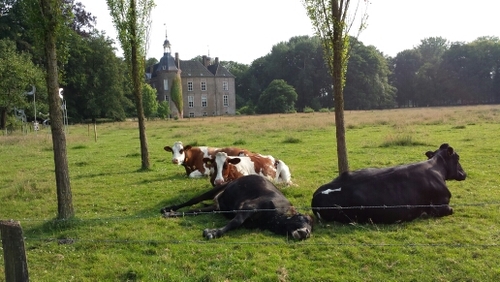 Siemvhal's profile picture. 