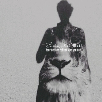 Follow follow back