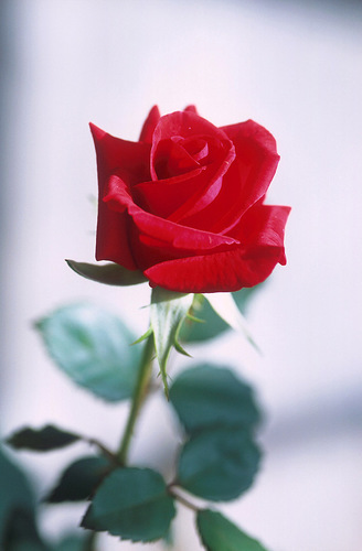 Hi Everyone I am new to Twitter, my name is Natasha I decided to see what is going on in terms of events and meeting individuals.
