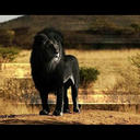 Mohammed (@0505336332) Twitter