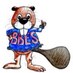 Bollman Bridge ES (@hcpss_bbes) Twitter profile photo