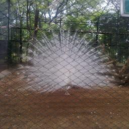 I AM AN MECHANICAL ENGINEER