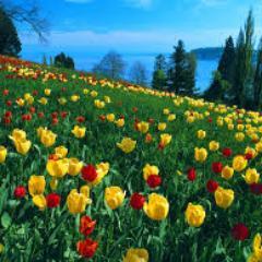 Much learning does not teach understanding.-Heraclitus