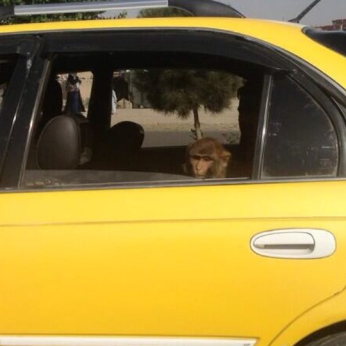 martyfeely's profile picture. Retired Special Agent and Spokesman for the @FBI, and proud @urichmond alumnus.