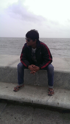chartered accountant