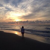 Renee Toates (@rttoates) 's Twitter Profile