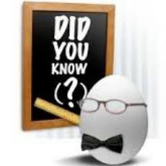 Interesting facts about Everything