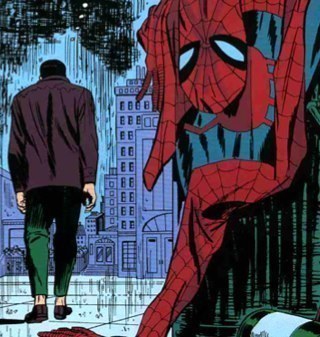 I used to be the friendly neighborhood spider-man