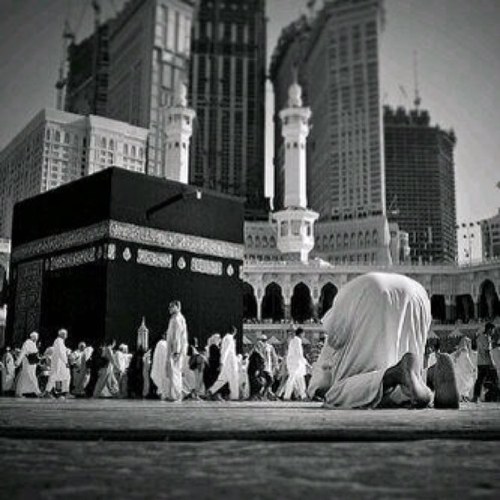 نحن لسنا السكان الاصلييّن لهذا الكوكب بل نحن نتمي للجنه ، حيث كان ابانا ادام هناك فنزلنا لنؤدي اختبار قصير ثم نرجع لوطننا . ونحن نساعدك لكي ترجع لوطنك .
