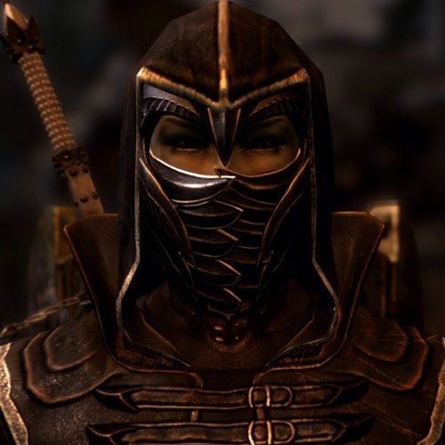 I am Asliel, Thlamor Justiciar and daughter of a Alinor noble. I have a pet mudcrab named Pincer. #Vampire #SeigHeilThalmor #GrammarThalmor