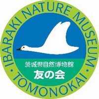 茨城県自然博物館　友の会(@tomo_inm) 's Twitter Profile Photo