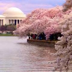 If you cannot be a poet, be the poem.-David Carradine