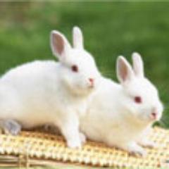 pssinthiya's profile picture. God is Love......