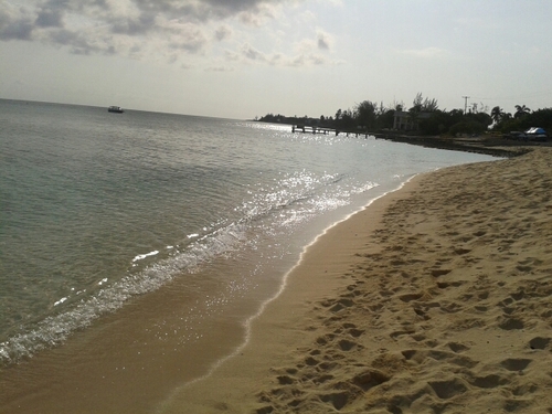 Cynthiaburotto's profile picture. 