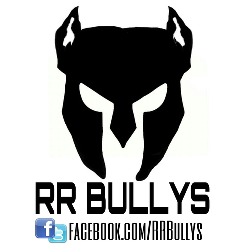 RR_BULLYS's profile picture. criadero de American Bullys