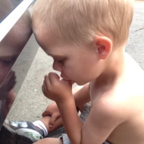 trifactor1721's profile picture. 