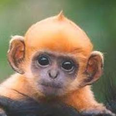 rixrob's profile picture. 