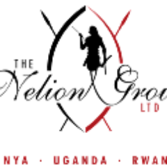 The Nelion Group Ltd