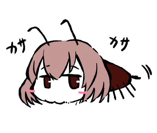 家の半分が埋まってるにで今年中に片付け目標