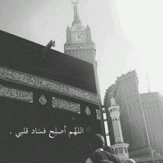 ‏احب الصالحين ولست منهم لعلي ان انال بهم شفاعه♥