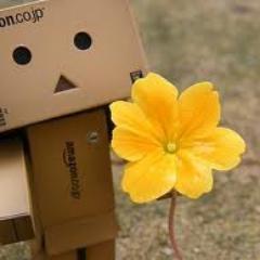 Likeadream_x's profile picture. sono una #directioner e ne vado fiera
SORRIDETE AL MONDO ANCHE SE SARA DIFFICILE...