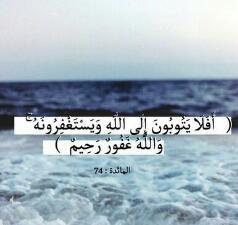 meet3b38's profile picture. 