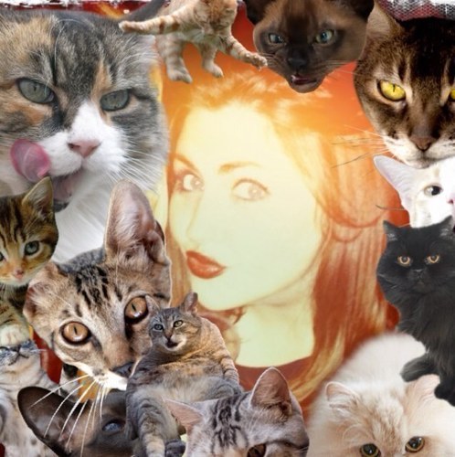 SeonaTaylorBell's profile picture. Red wine drinker, habitual Vogue menthol (RIP) smoker and regular faller over...