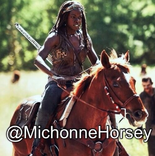 Im the horse from Season 4, hopin' Rick don't kill me like th' last one!
